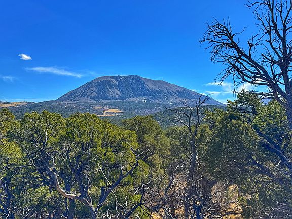 2nd image of Country Rd #572