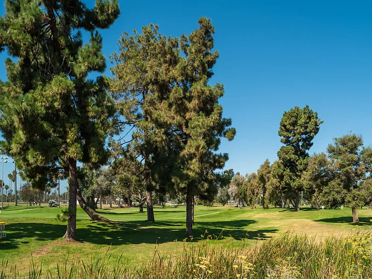 A Relaxing Day on The Fairway