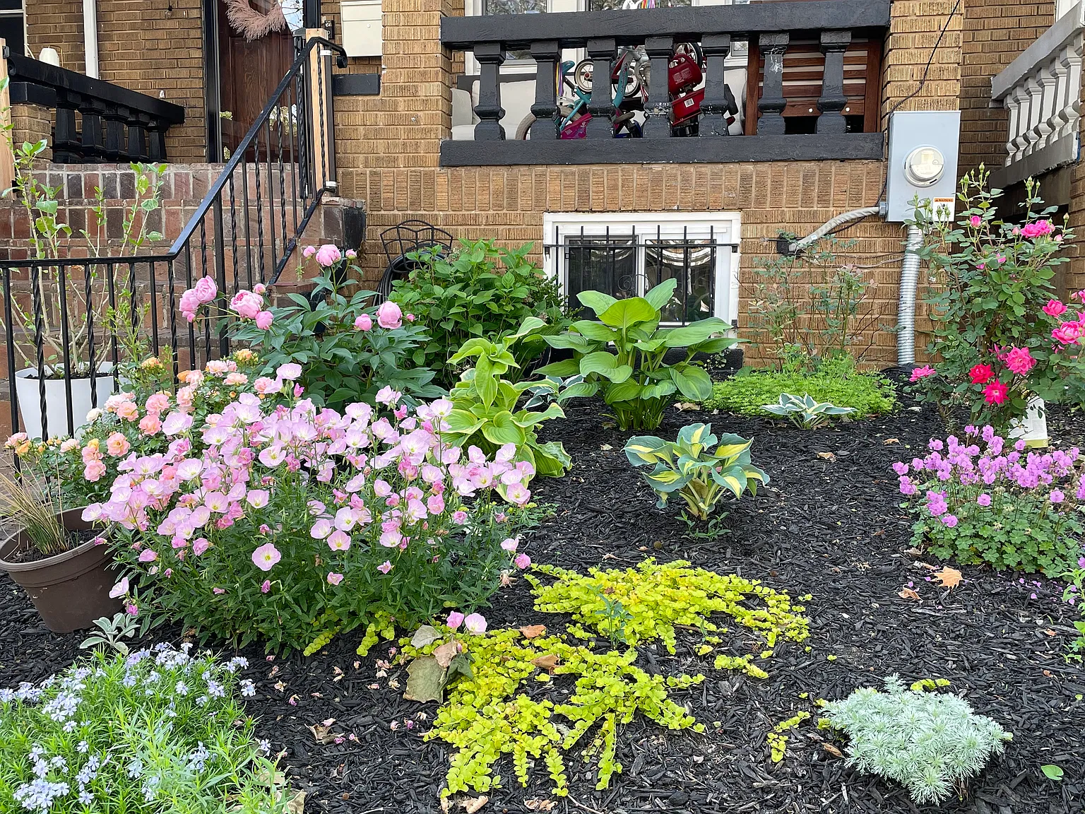 1 bed, $1,480 — Photo 2