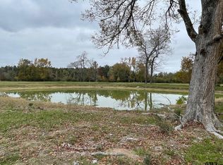 949 Fm 1309, Lovelady, TX 75851
