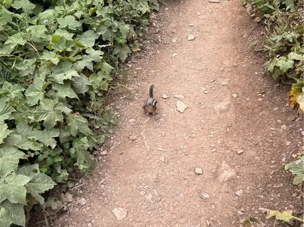 (undisclosed Address), Bella Vista, AR 72714