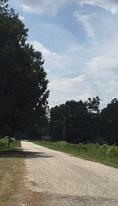 2nd image of 1731 Bonsal Ct