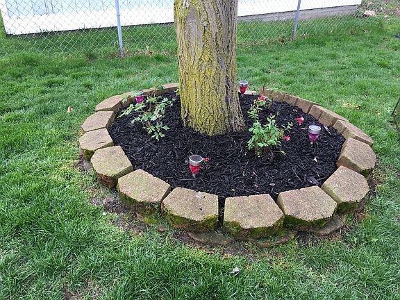 Updated landscaping 2