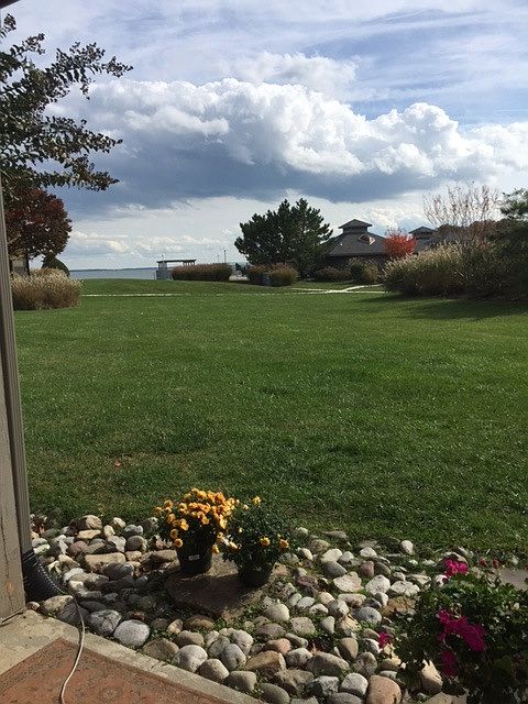 View from Patio