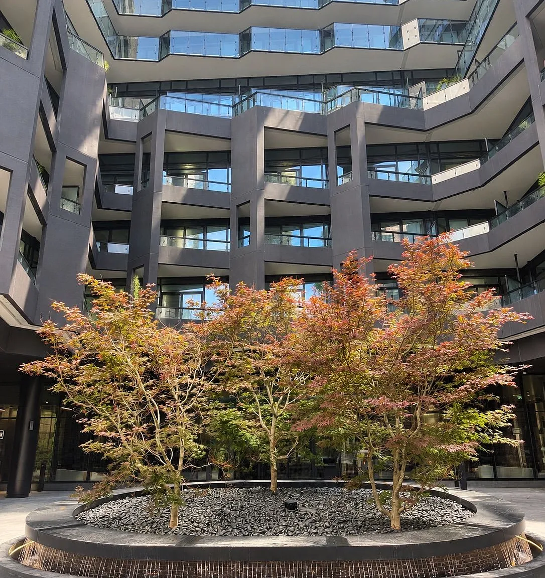 2 bed, $3,200 — Photo 2