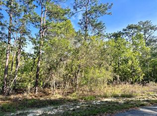 21 Snapdragons Ct, Homosassa, FL 34446