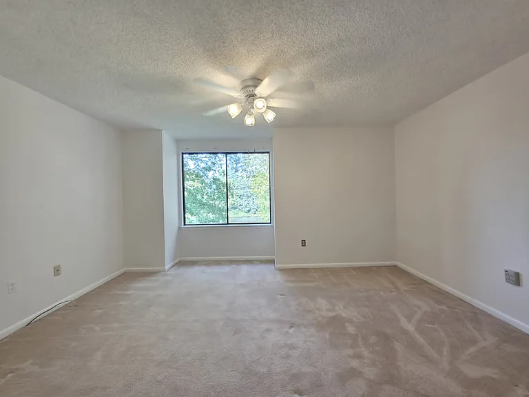 231 Canal Park Dr — Photo 33