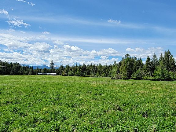 3rd image of 485 Stellar Jay Rd