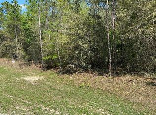 129th Terr Rd, Ocala, FL 34481