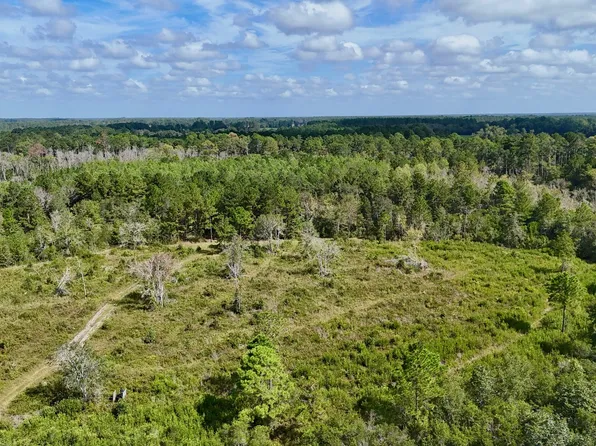 TRACT 3 Pine Cone Trl, Mershon, GA 31551