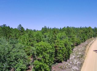 X Big Branch Rd, Wagener, SC 29164