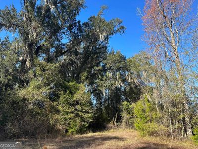 001A Pilgrim Church Rd, Gordon, AL, 36343