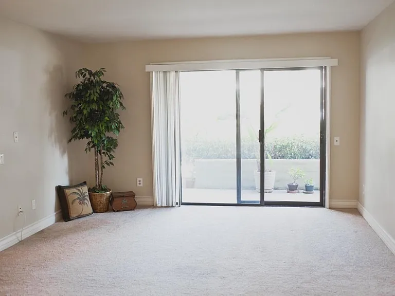 living room and patio