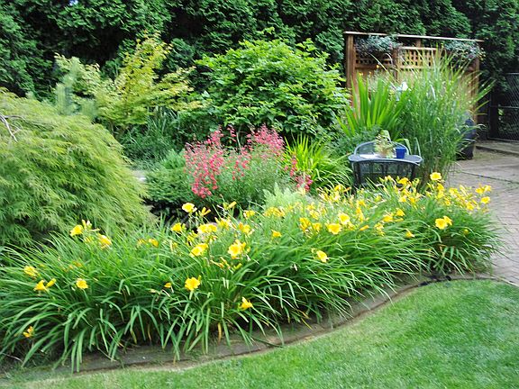 Pond area for relaxing