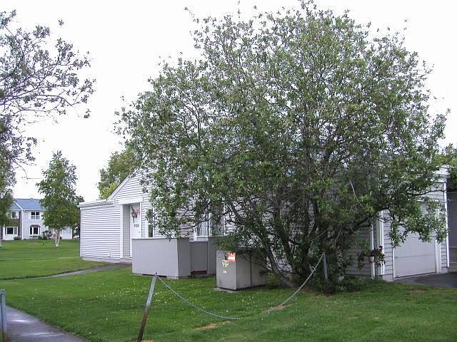 2nd image of 3320 Mount Vernon Ct #1-E