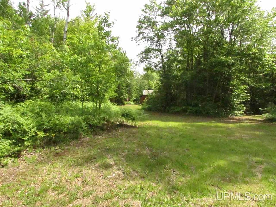 N12426 Driggs River Rd, Seney, MI 49883 Zillow