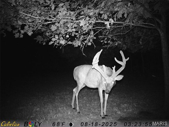 2nd image of 9821 County Road 458