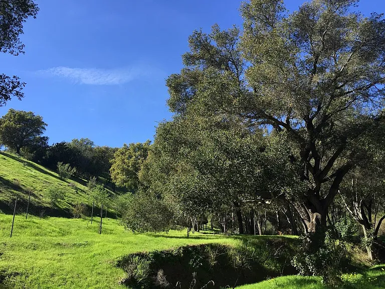 San Marcos Pass Rd — Photo 20
