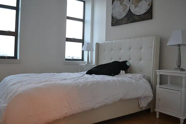 Rented by Loom Group | media 4