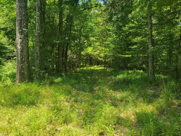 Tbd Hamilton Willis Rd, Saint Francisville, LA 70775