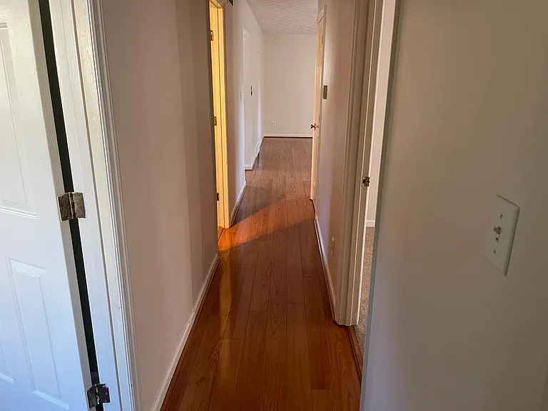 Hallway to bedrooms and bathrooms.