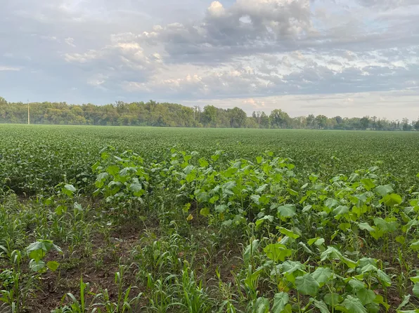 Copeland Rd #2, Bronson, MI 49028