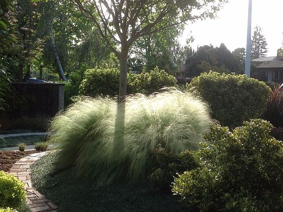 3rd image of 223 Westchester Dr