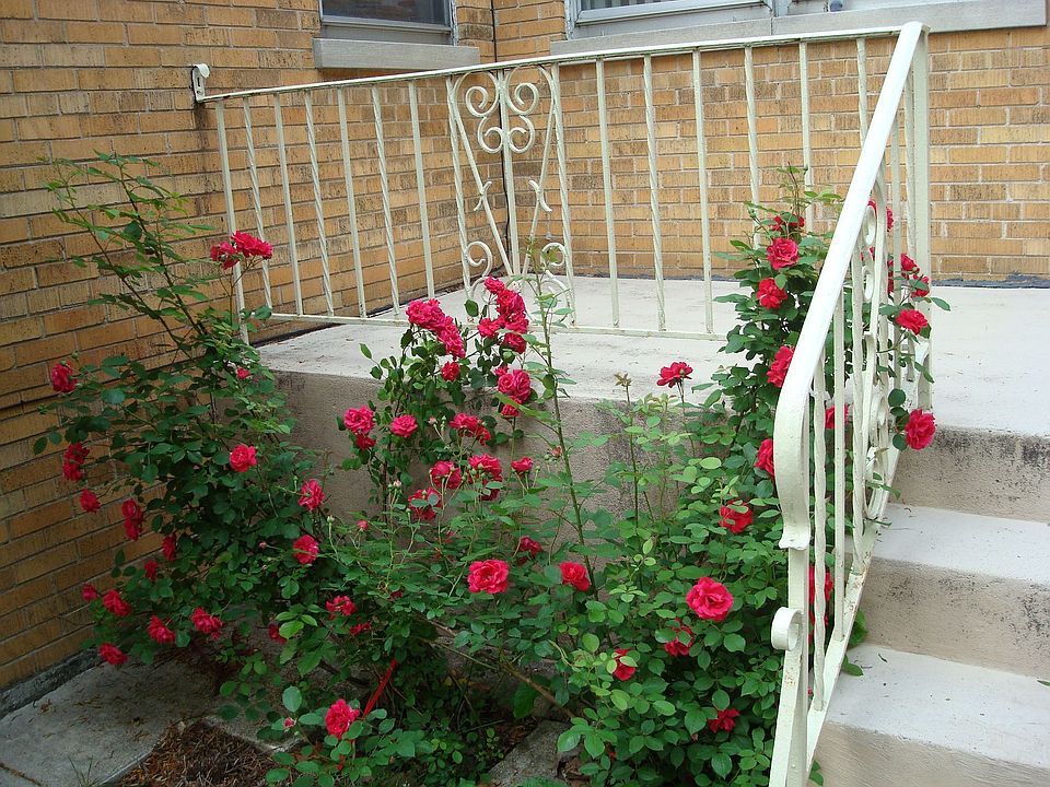 2nd image of 6247 N Troy St