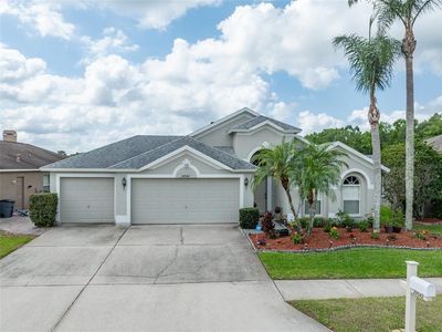 29542 Forest Glen Dr, Zephyrhills, FL, 33543