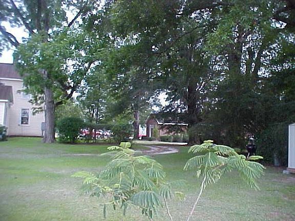 Side rear yard