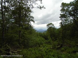 Summit Woods Rd, Roaring Brook Township, PA 18444