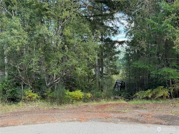 311 E Emerald Lake Drive W, Grapeview, WA 98546
