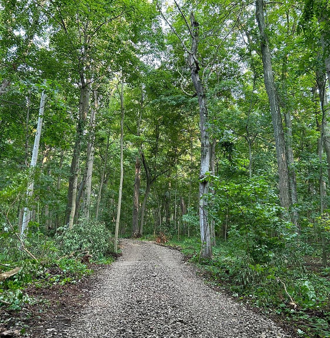 1 Jones B, Put In Bay, OH 43456 MLS 20232509 Zillow