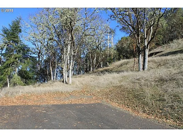 1298 Southridge Way photo 1