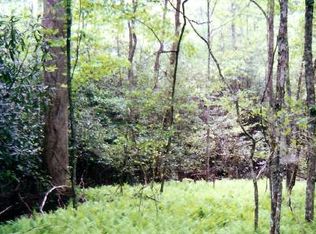 LOT 9 Joseph Anderson Trl, Ellijay, GA 30536