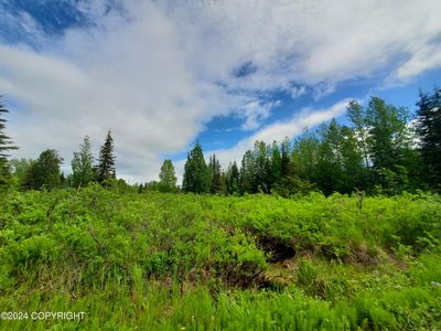 35050 N Fork Rd, Anchor Point, AK, 99556