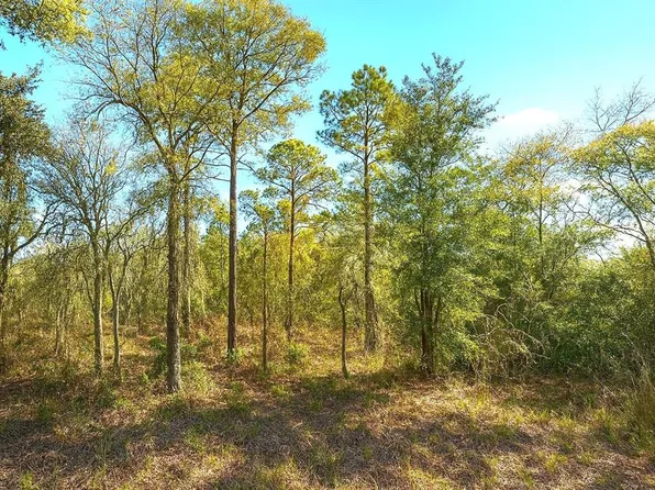 0 NE 122nd Ave, Williston, FL 32696