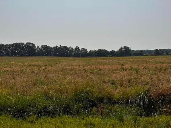TRACT 56 Hays Mill Rd, Elkmont, AL 35620