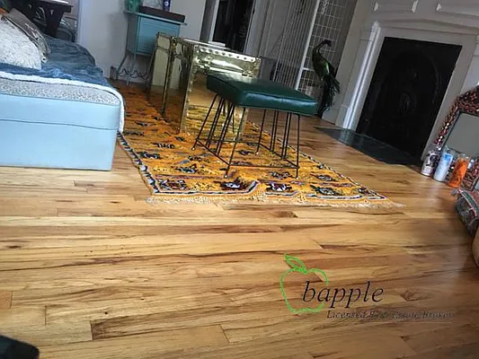 Rented by Bapple | media 5