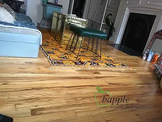 Rented by Bapple