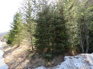 16MM Yaak River Rd, Troy, MT 59935