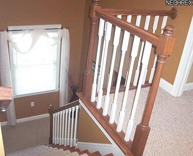 3rd image of 10460 Carrousel Woods Dr