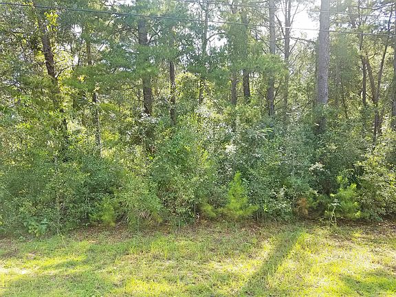 4th image of 713 Pierson Dr