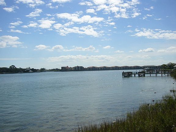 Fishing and Dolphin views