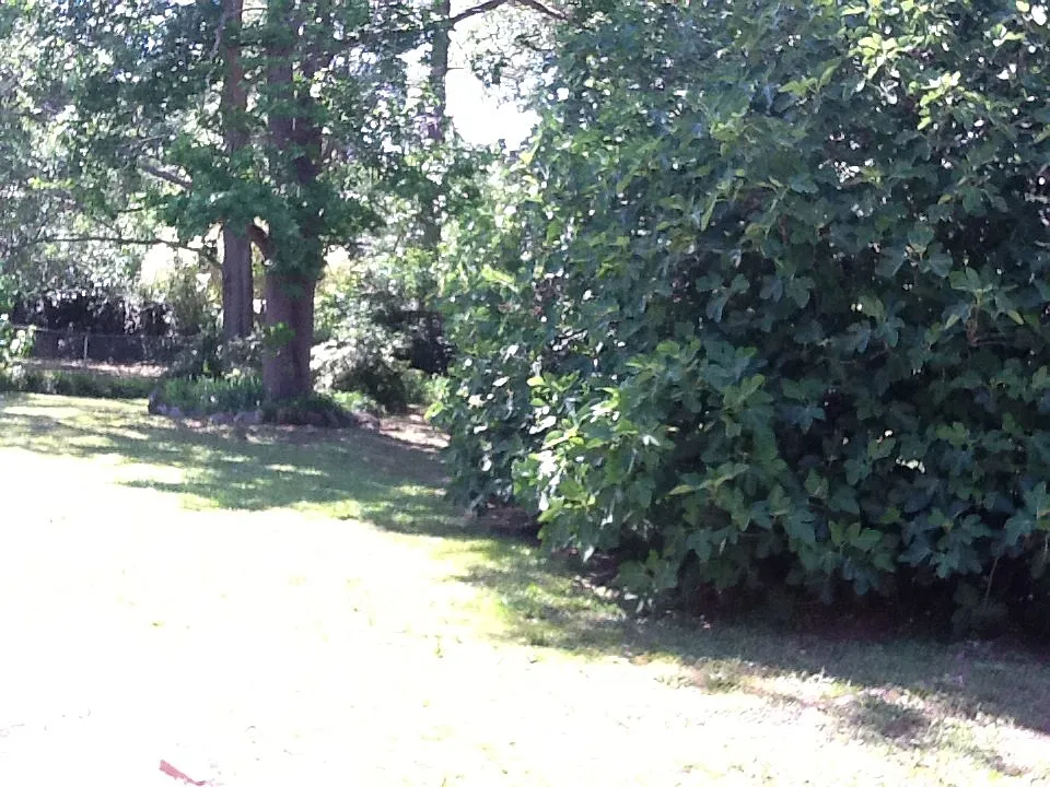 3615 Grier Avenue — Photo 3