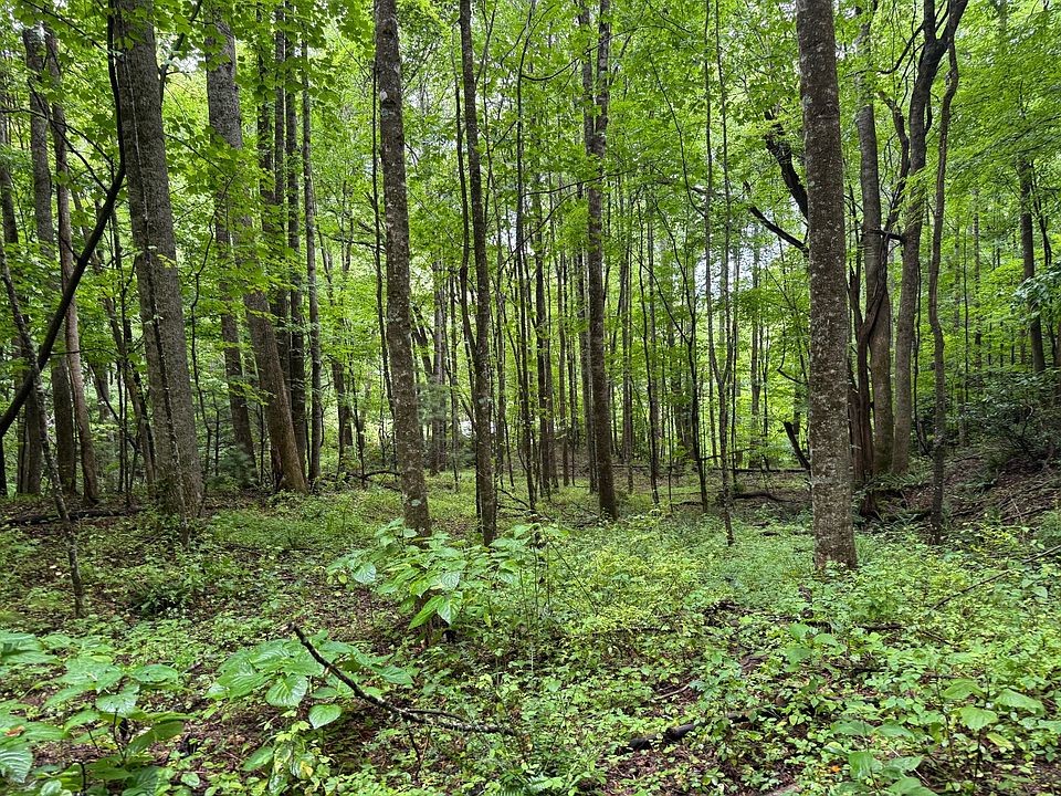 1st image of Gusher Knob Rd