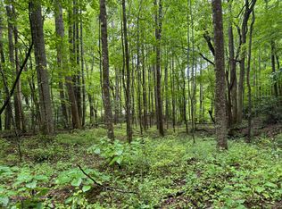Gusher Knob Rd, Newland, NC 28657