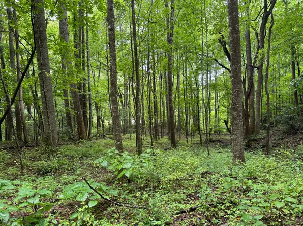 Gusher Knob Rd, Newland, NC 28657