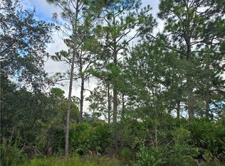 234 Wildcat St NW, Lake Placid, FL 33852