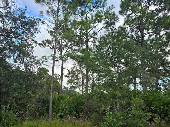 234 Wildcat St NW, Lake Placid, FL 33852